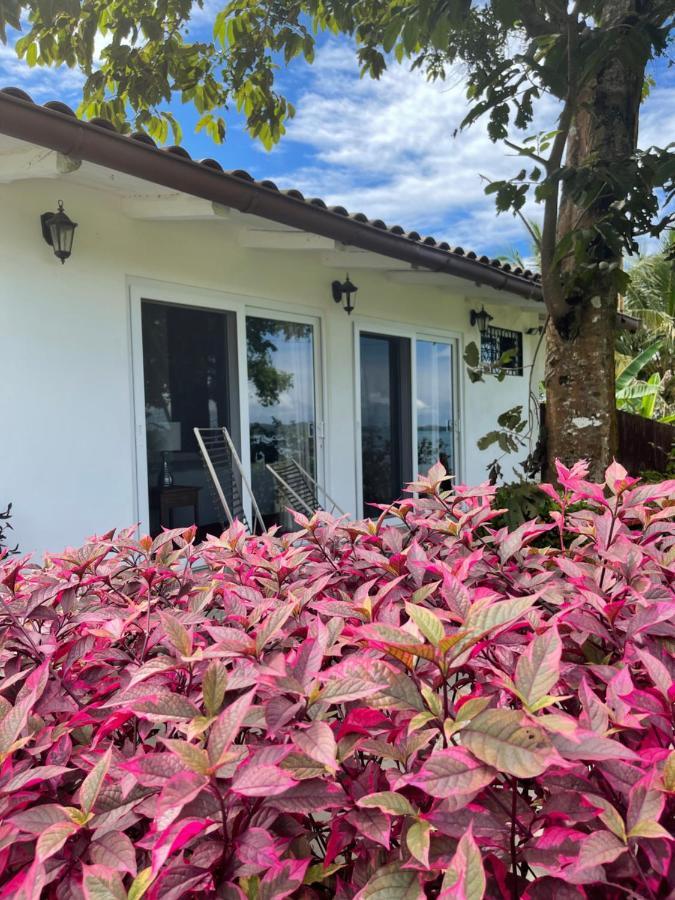 Boca Brava Paradise Bed & Breakfast Boca Chica Exterior photo