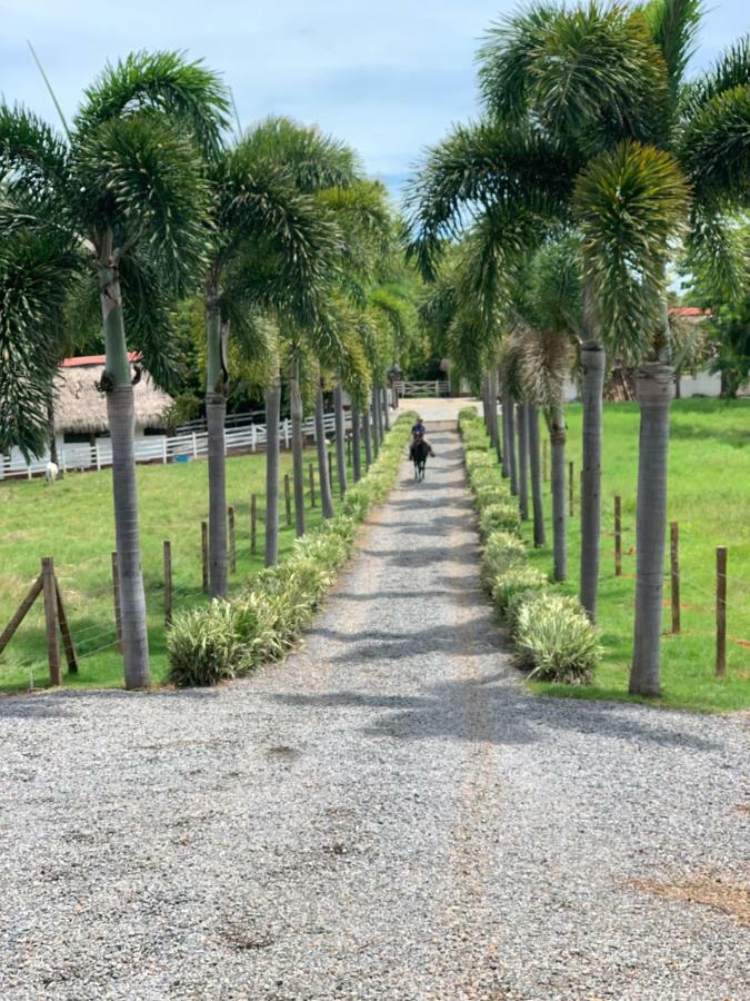 Boca Brava Paradise Bed & Breakfast Boca Chica Exterior photo